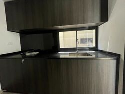 Park Colonial (D13), Condominium #357680711